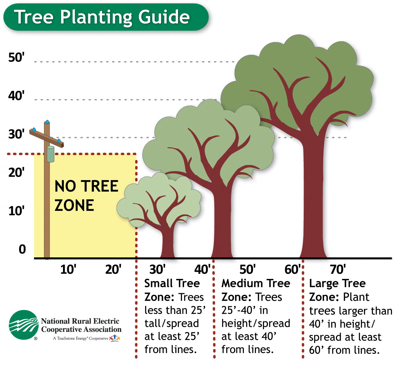 trees