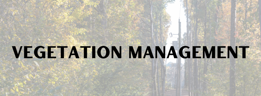 Vegetation Management