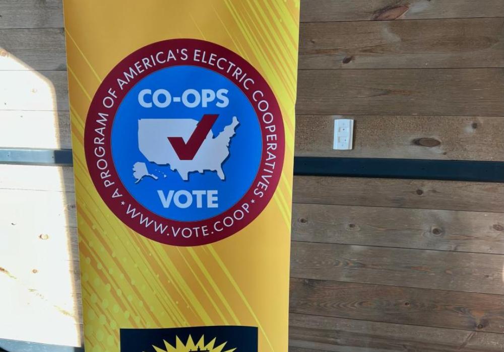 Co-Ops Vote